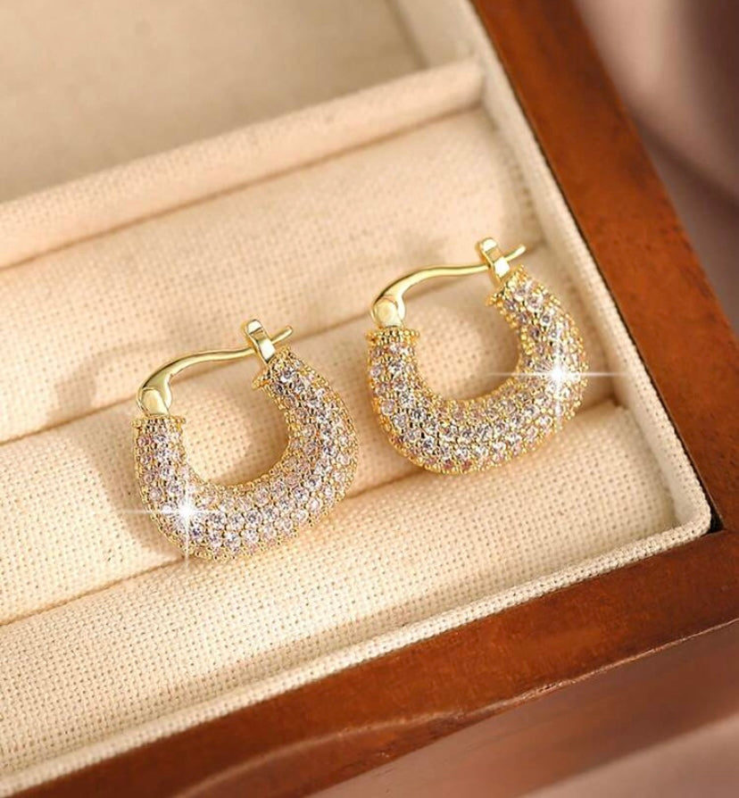 Sullivan Sparkle Earrings