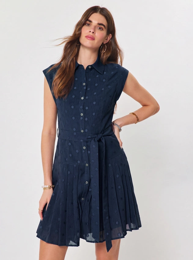 Nancy Navy Polka Dot Tie Dress