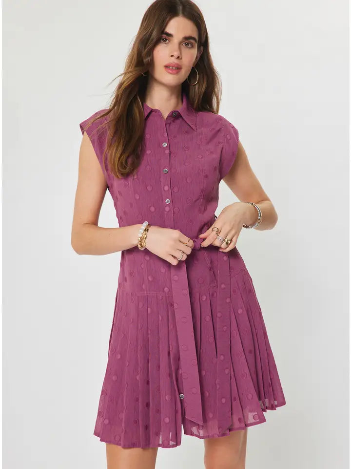 Nancy Polka Dot Tie Dress
